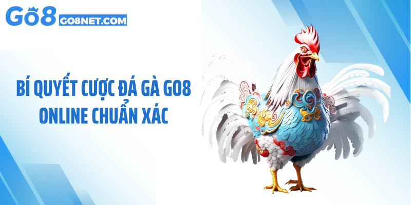 Bí quyết cược đá gà GO8 online chuẩn xác