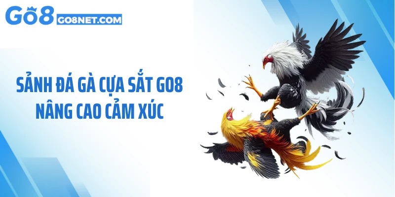 Sảnh đá gà cựa sắt GO8 nâng cao cảm xúc
