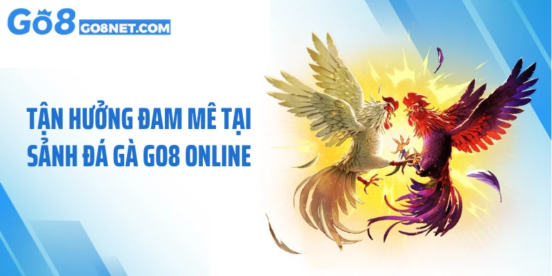 Tận hưởng đam mê tại sảnh đá gà GO8 online